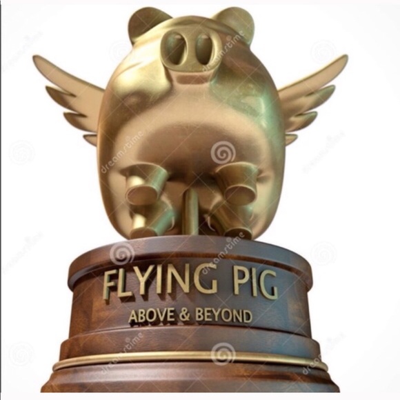 INFORMATION PAGE- The Flying Pig Daily Share Group - Picture 4 of 6